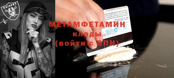 индика Карпинск