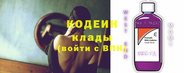 PSILOCYBIN Козловка