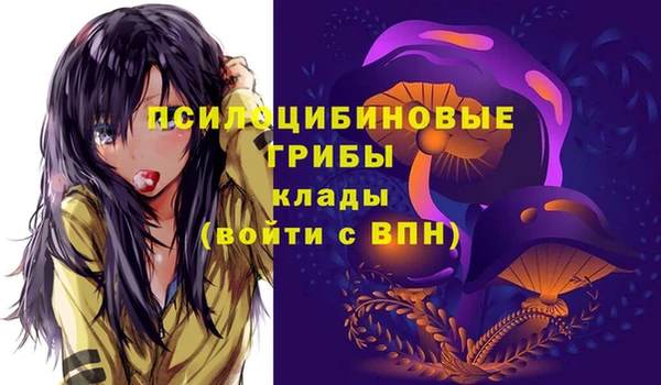 бутират Козельск