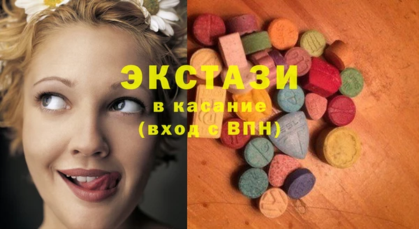индика Карпинск