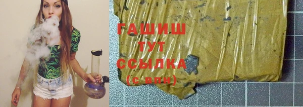 индика Карпинск