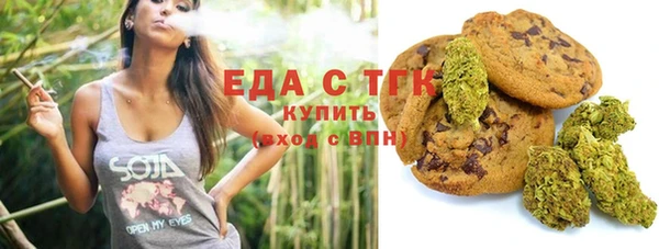 индика Карпинск