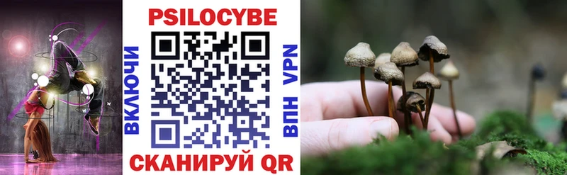 Купить Всеволожск Псилоцибиновые грибы Magic Shrooms
